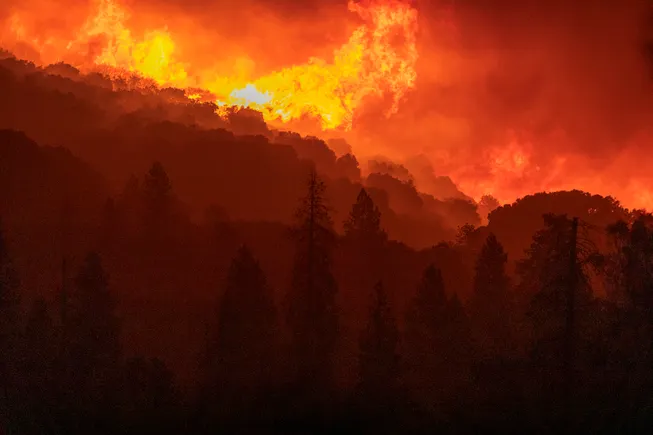 From Green to Gold: 5 Ways CFOs Can Benefit from Climate Risk Disclosure